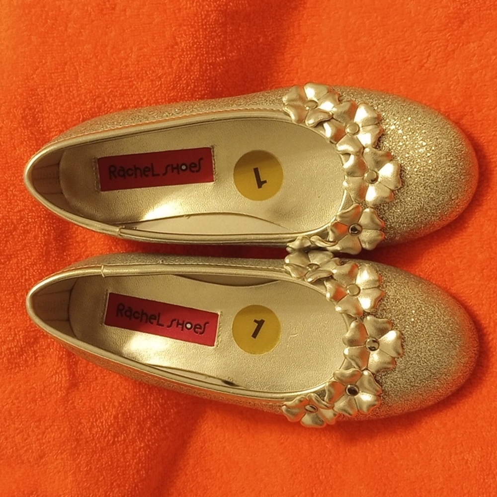 Silver Shoes (Flats)